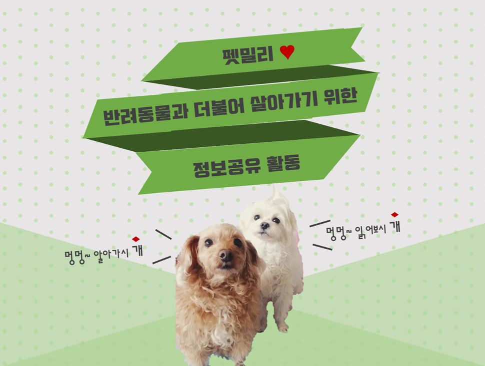 333333.JPG 201909062102471124293350.jpg